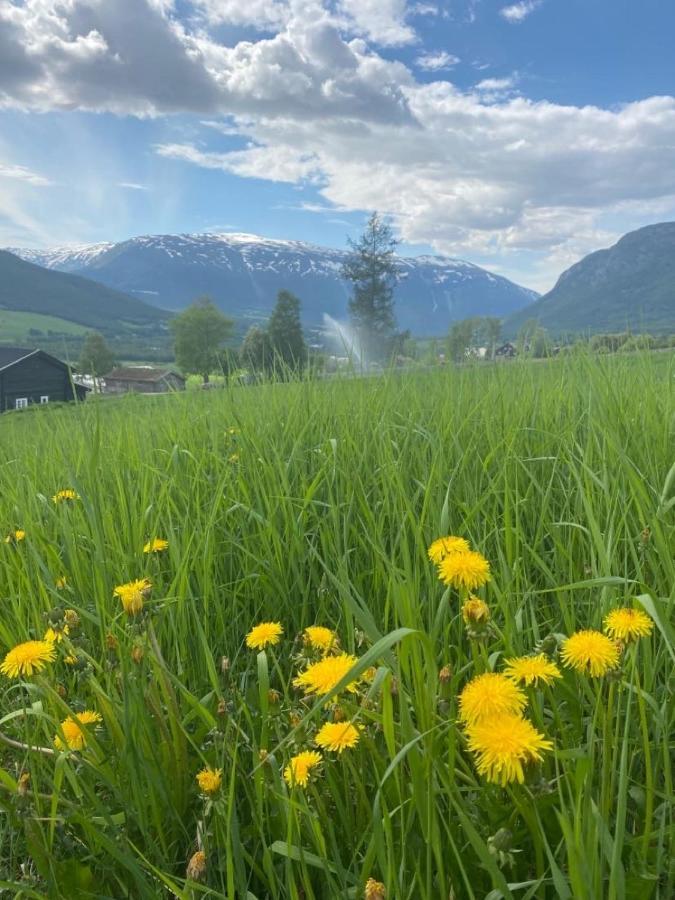 Stort Og Autentisk Hus I Skjak - Kort Vei Til Lom! Extérieur photo